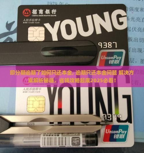即分期逾期了如何只还本金 即分期逾期了如何只还本金