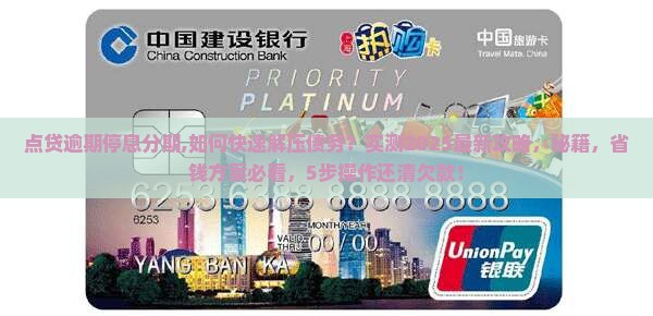 点贷逾期停息分期 点贷逾期停息分期