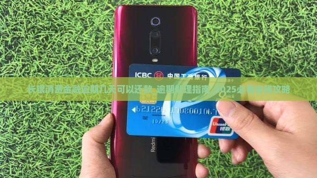 长银消费金融逾期几天可以还款 长银消费金融逾期几天可以还款