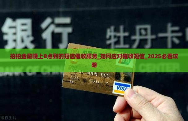 拍拍金融晚上8点到的短信催收服务