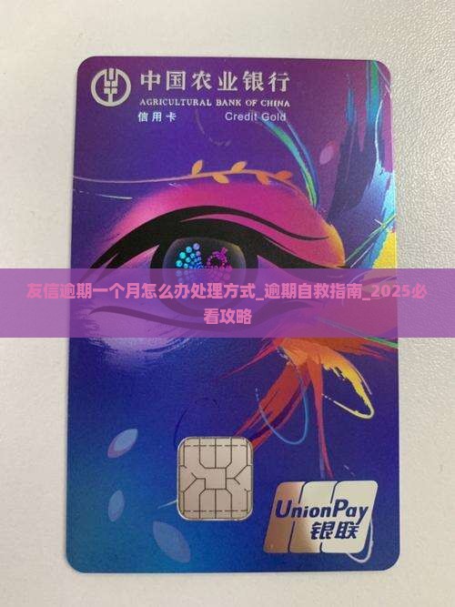 友信逾期一个月怎么办处理方式