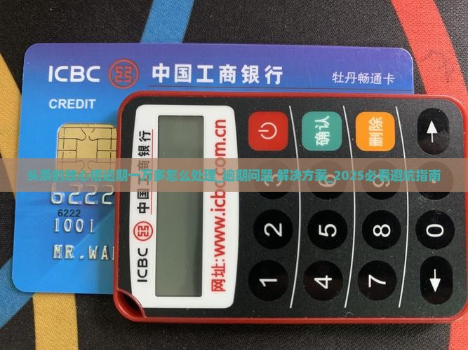 头条的放心借逾期一万多怎么处理