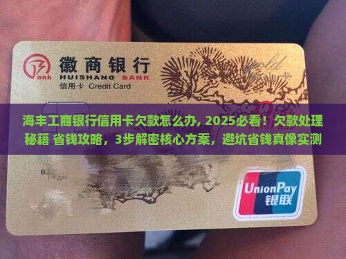 海丰工商银行信用卡欠款怎么办