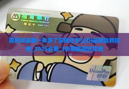 惠民贷逾期一年多了没钱还怎么办
