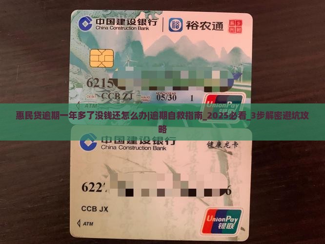 惠民贷逾期一年多了没钱还怎么办