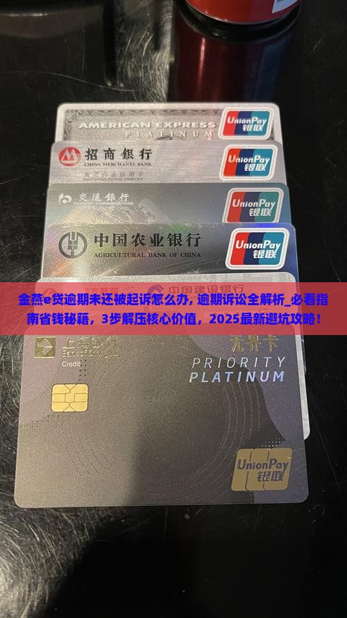 金燕e贷逾期未还被起诉怎么办