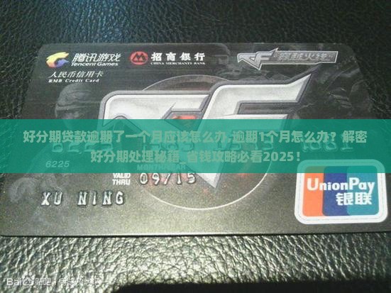 好分期贷款逾期了一个月应该怎么办
