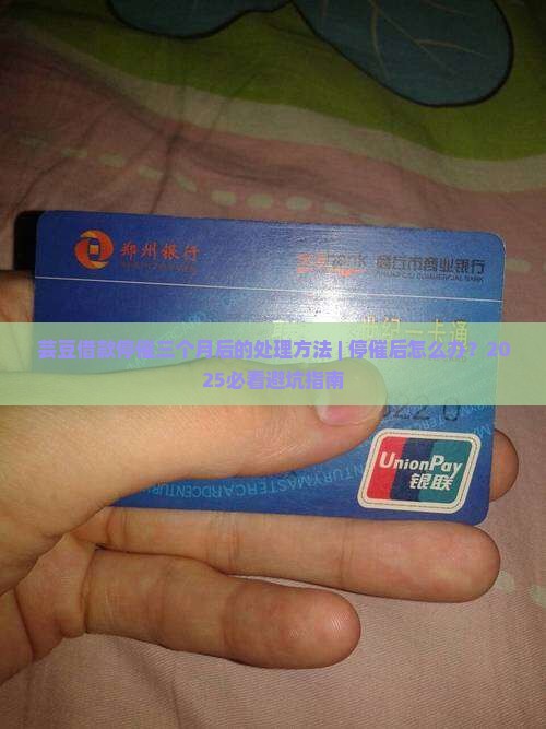 芸豆借款停催三个月后的处理方法 芸豆借款停催三个月后的处理方法