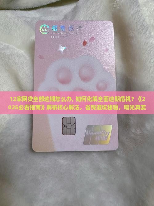 12家网贷全部逾期怎么办