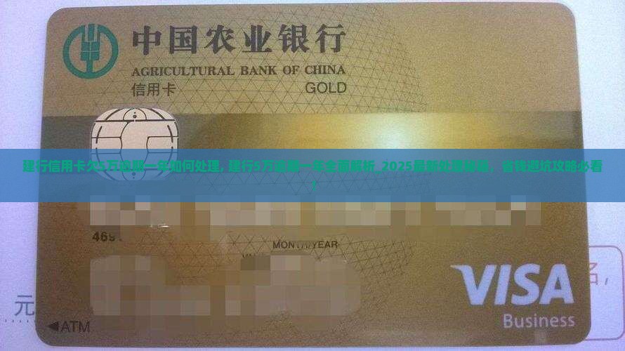 建行信用卡欠5万逾期一年如何处理 建行信用卡欠5万逾期一年如何处理