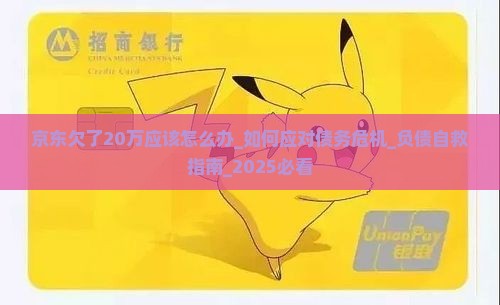 京东白条欠了20万应该怎么办