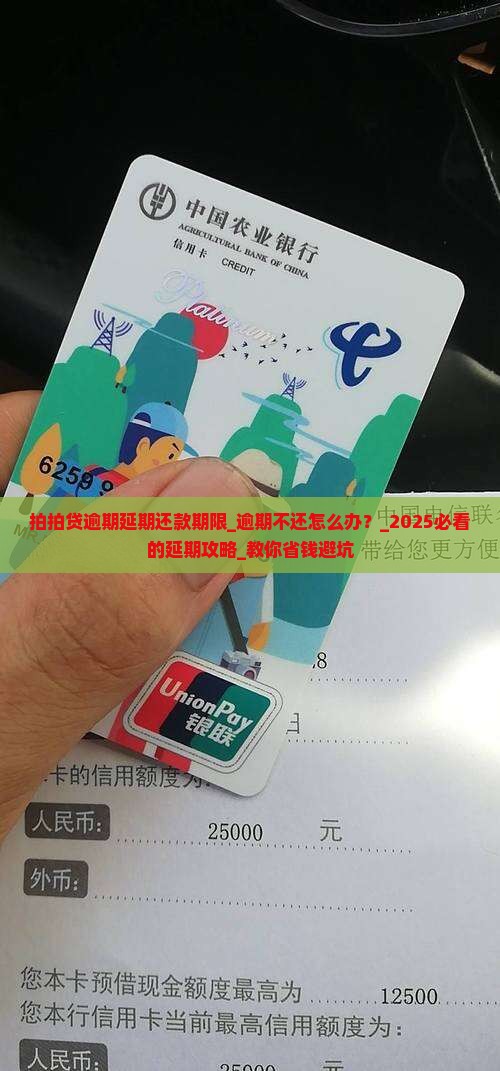 拍拍贷逾期延期还款期限