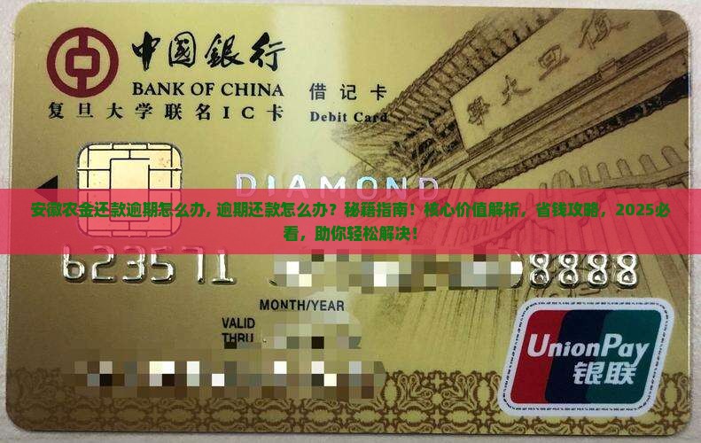 安徽农金还款逾期怎么办