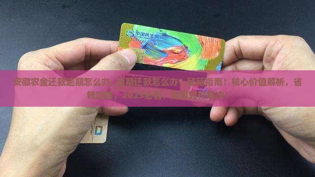 安徽农金还款逾期怎么办