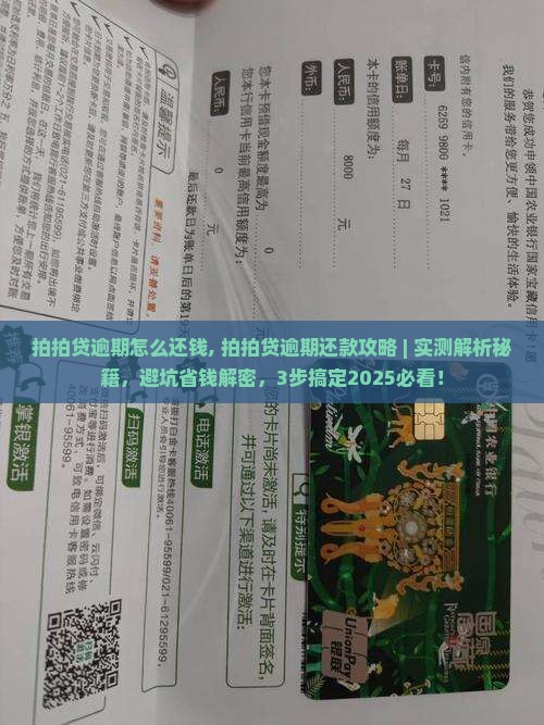 拍拍贷逾期怎么还钱 拍拍贷逾期怎么还钱