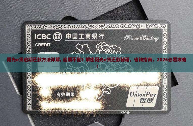 阳光e贷逾期还款方法详解