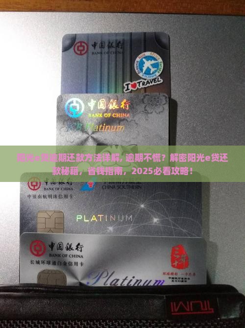阳光e贷逾期还款方法详解