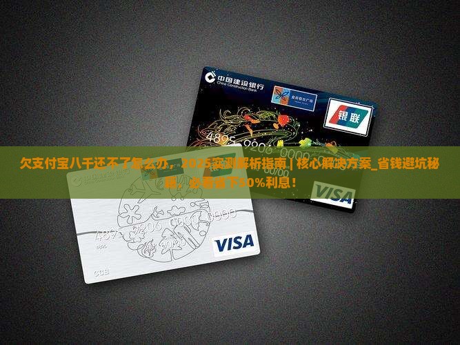 欠支付宝八千还不了怎么办 欠支付宝八千还不了怎么办