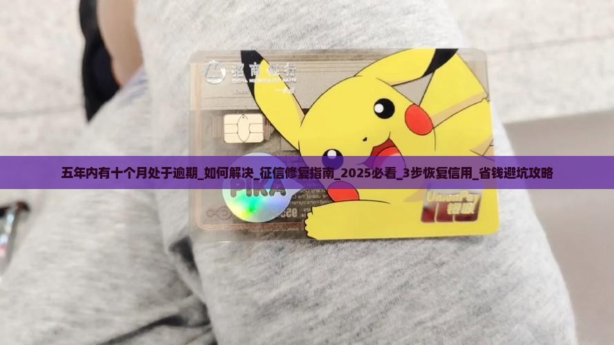 五年内有十个月处于逾期