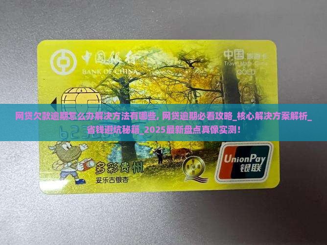 网贷欠款逾期怎么办解决方法有哪些 网贷欠款逾期怎么办解决方法有哪些