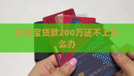 支付宝贷款200万还不上怎么办