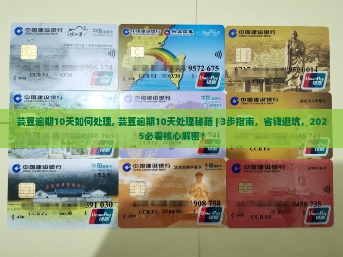 芸豆逾期10天如何处理
