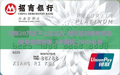 欠账20万还不上怎么办 欠账20万还不上怎么办