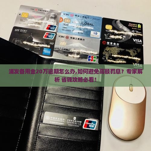 浦发备用金20万逾期怎么办