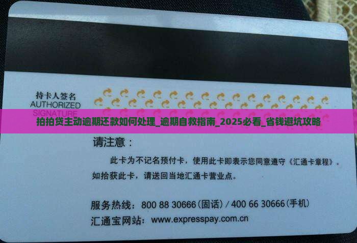 拍拍贷主动逾期还款如何处理