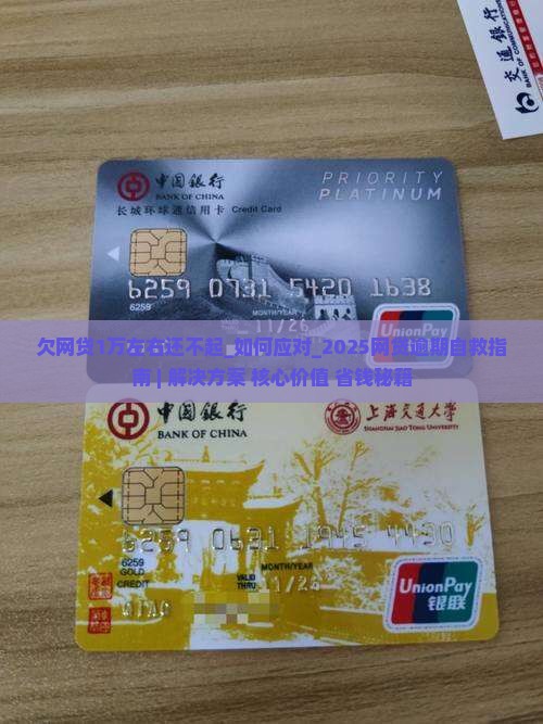 欠网贷1万左右还不起 欠网贷1万左右还不起