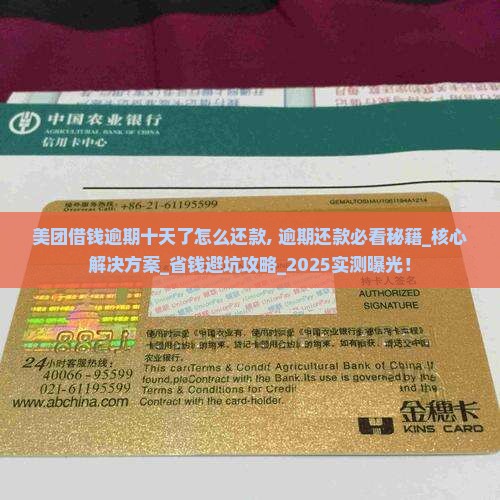 美团借钱逾期十天了怎么还款