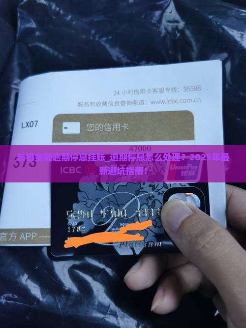 长银金融逾期停息挂账