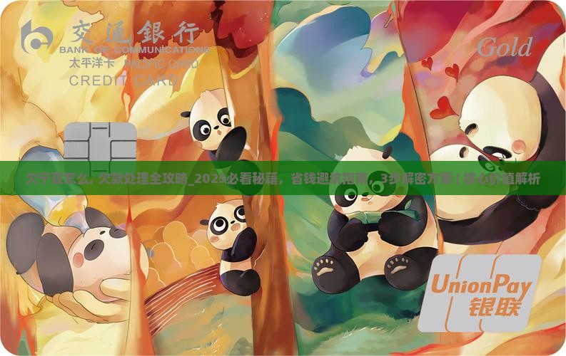 欠宁夏怎么办理
