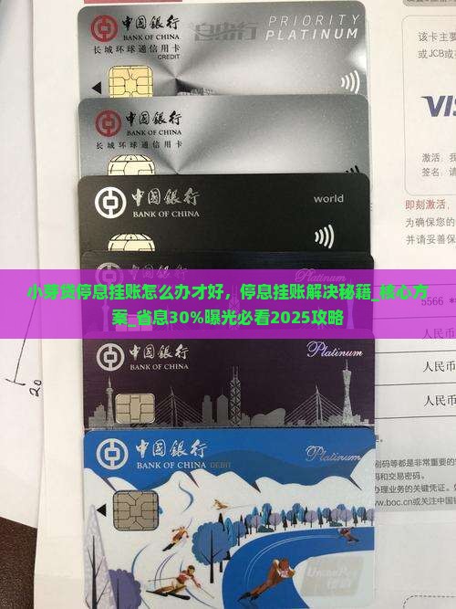 小芽贷停息挂账怎么办才好