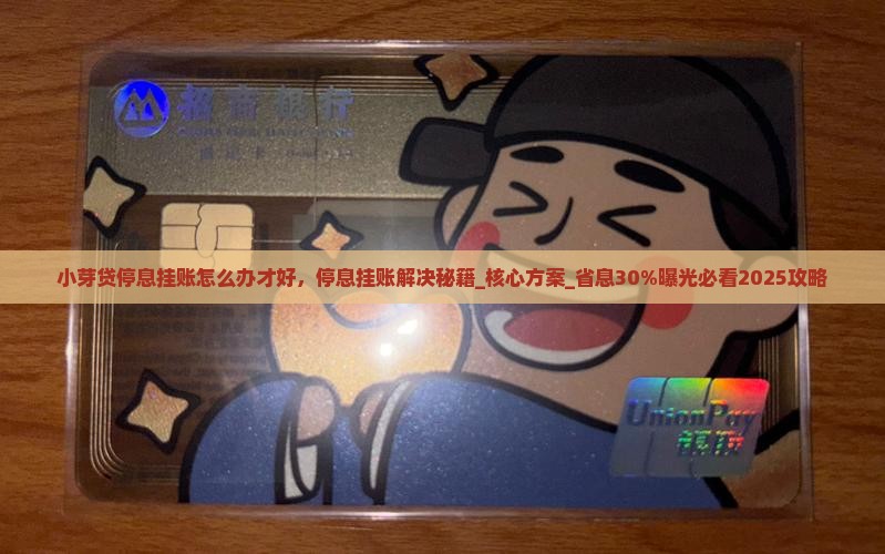 小芽贷停息挂账怎么办才好