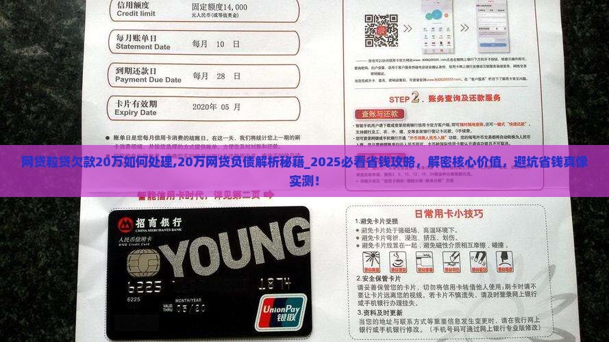 网贷加微粒贷欠款20万如何处理 网贷加微粒贷欠款20万如何处理