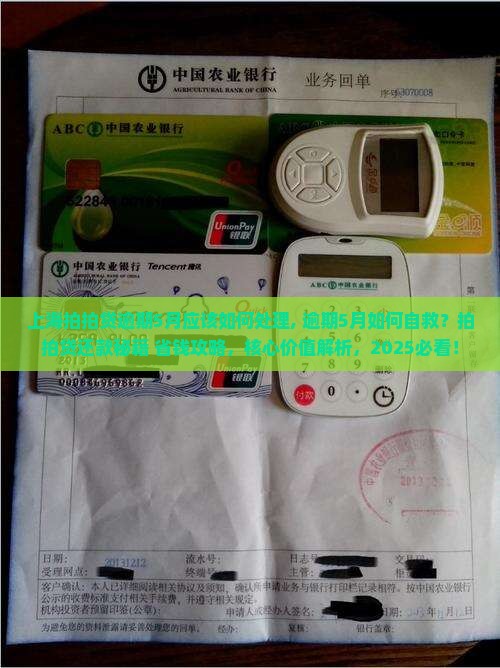 上海拍拍贷逾期5月应该如何处理