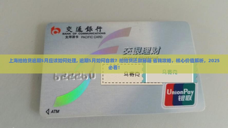 上海拍拍贷逾期5月应该如何处理