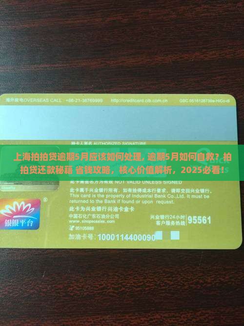 上海拍拍贷逾期5月应该如何处理