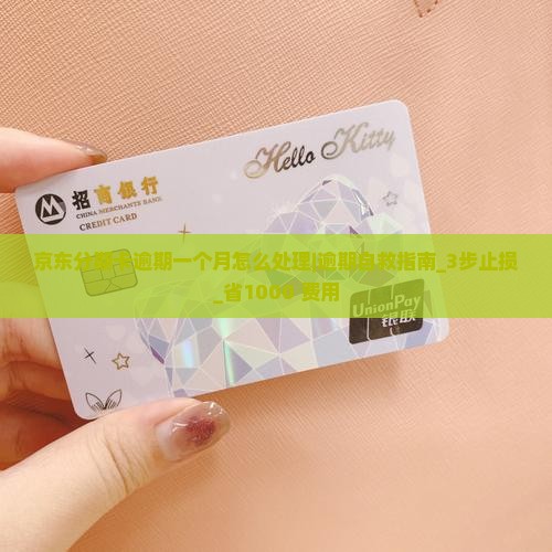 京东分期卡逾期一个月怎么处理