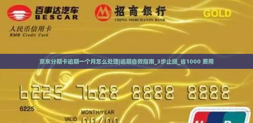 京东分期卡逾期一个月怎么处理