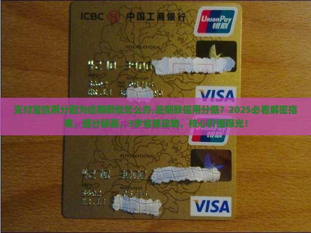 支付宝信用分因为逾期很低怎么办