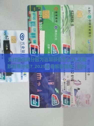 支付宝信用分因为逾期很低怎么办