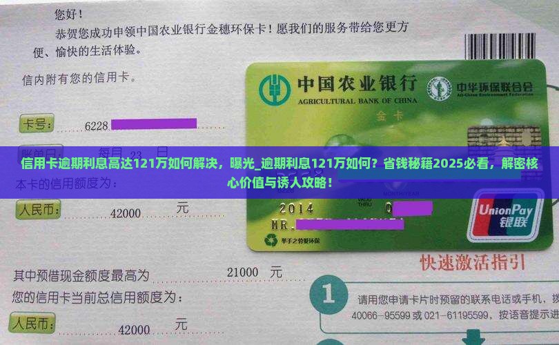 信用卡逾期利息高达121万如何解决