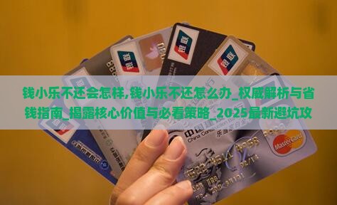 钱小乐不还会怎样