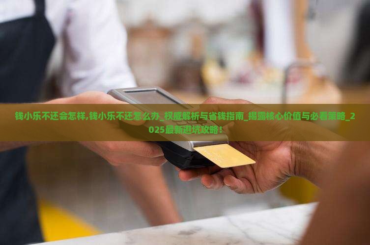 钱小乐不还会怎样