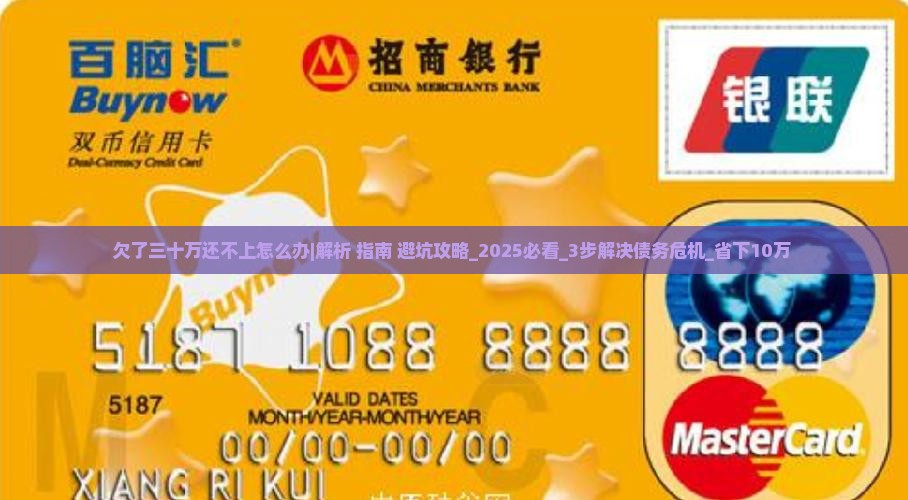 欠了三十万还不上怎么办会怎样