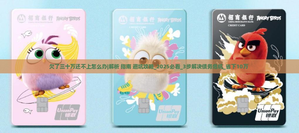 欠了三十万还不上怎么办会怎样