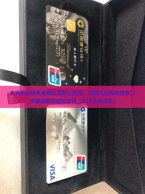 大兴安岭京东白条逾期应该怎么处理
