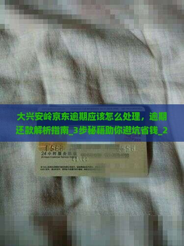 大兴安岭京东白条逾期应该怎么处理